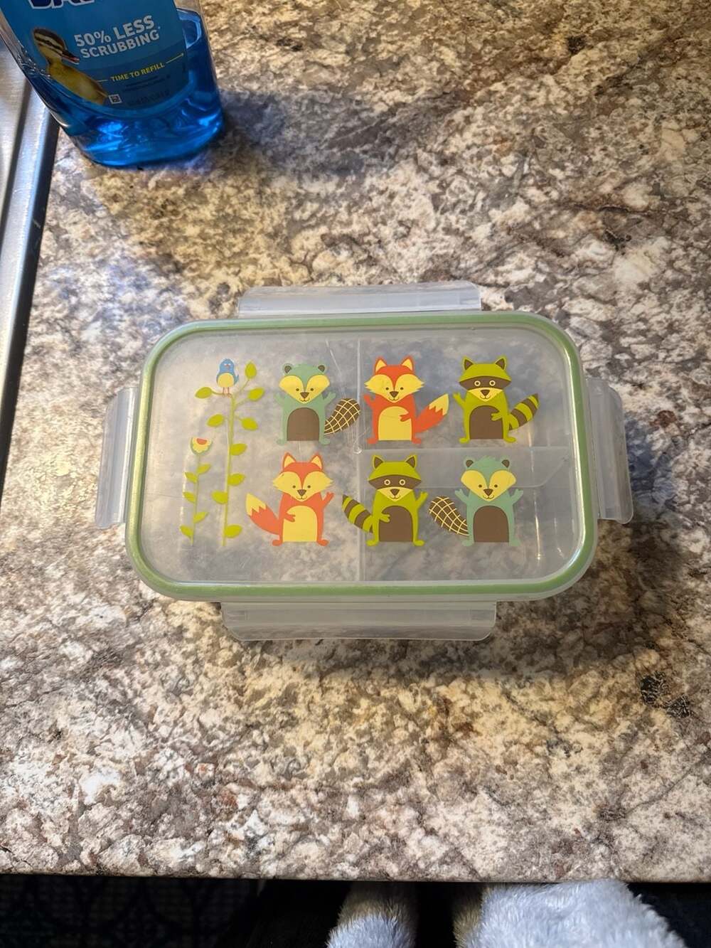 Stephen Joseph Kids Bento Box Lunch Container - Woodland Animals